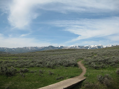 Glenwild trails Wasatch Utah