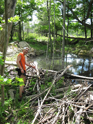 iRunFar Summer Road Trip #2 – Onwards and Upwards