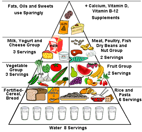 Quality Food For Quality Athletes: The Food Pyramid
