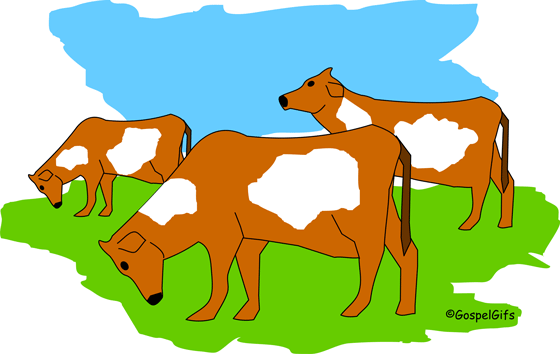 cow grazing clipart - photo #1