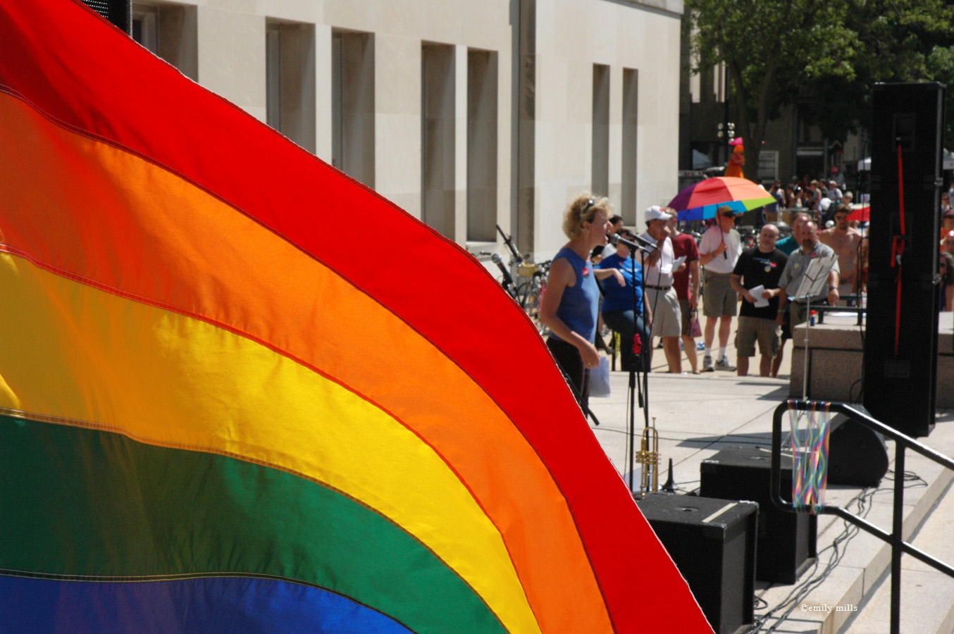 The Lost Albatross The subtle art of the successful rally