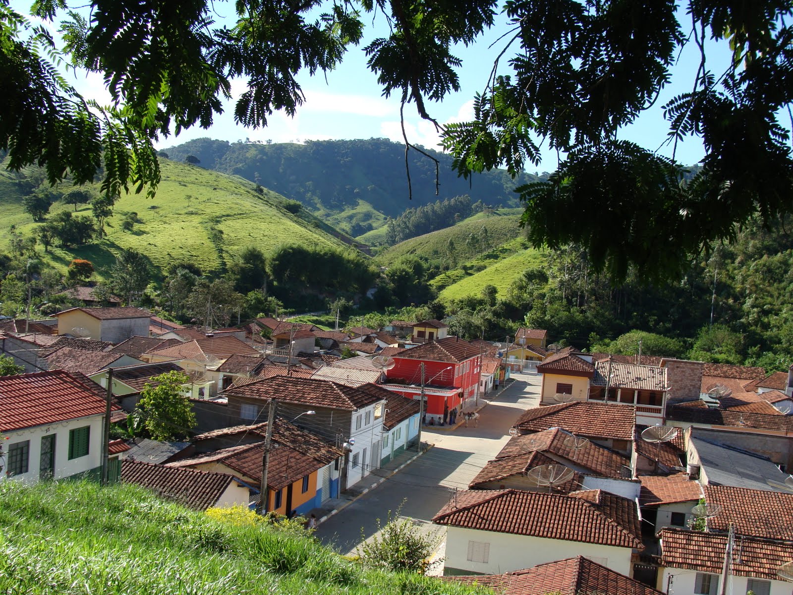 Tudo o que vivo...: Catuçaba