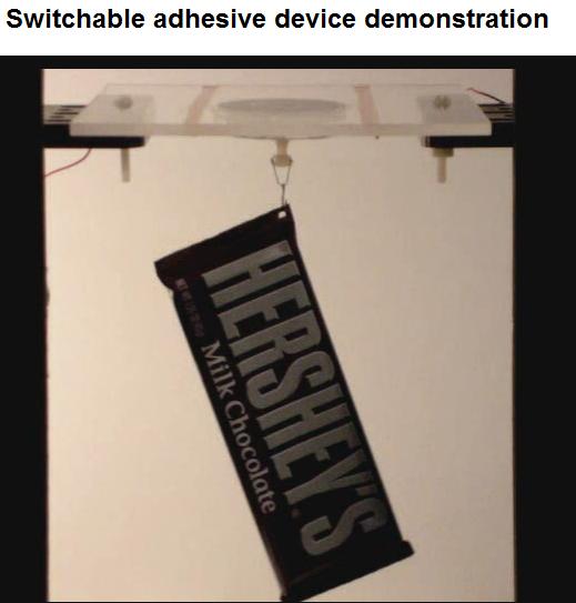 [switchadhesion1.jpg]