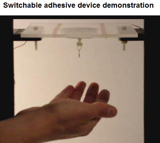 [switchadhesion2.jpg]