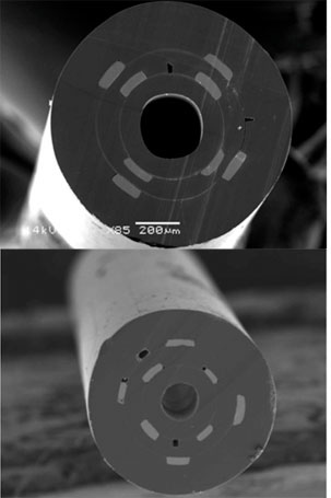 [flexible-1-enlarged.jpg]