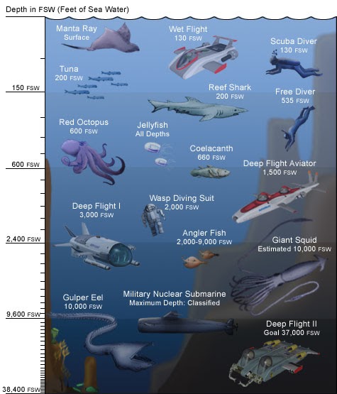 All 98+ Images a submarine dives as shown in the diagram Sharp