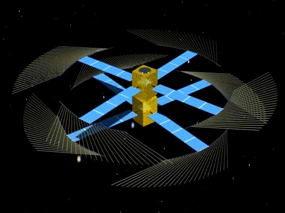 [siamese.jpg]