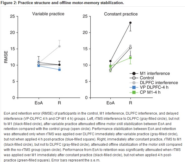 Variable Practice For Motor Skills Is Better Than Constant Practice variable-practice-for-motor-skills-is-better-than-constant-practice