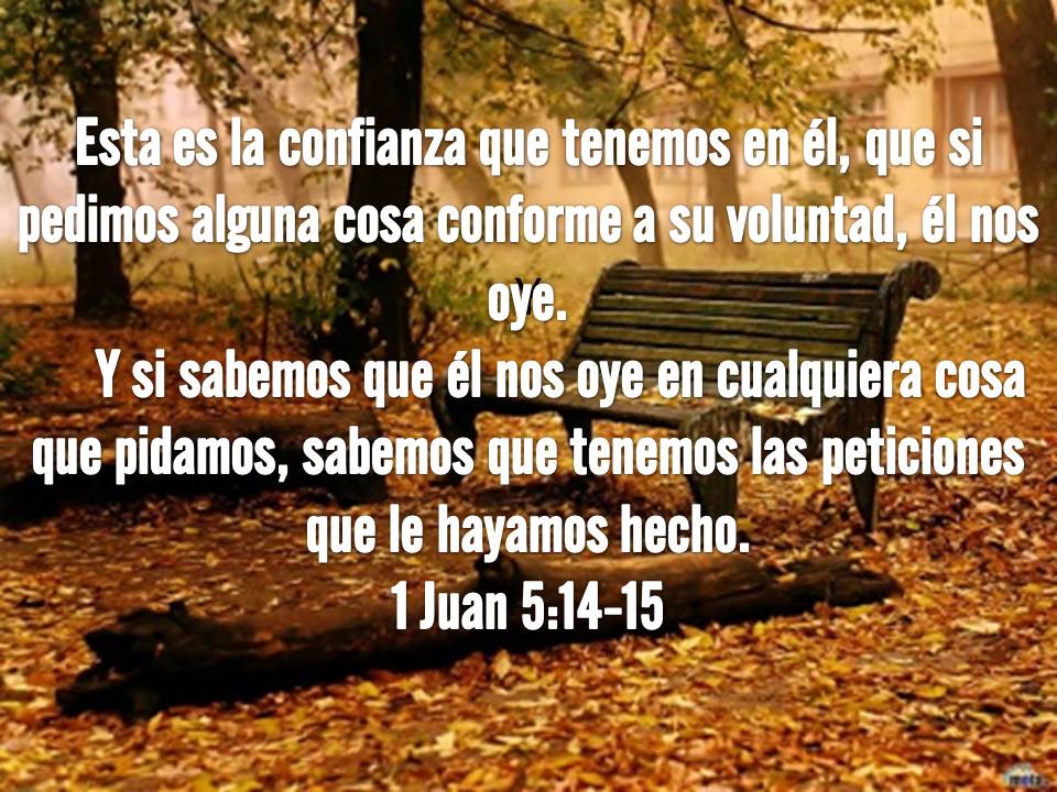 Palabra De Dios 1 Juan 5 14 15 palabra-de-dios-1-juan-5-14-15