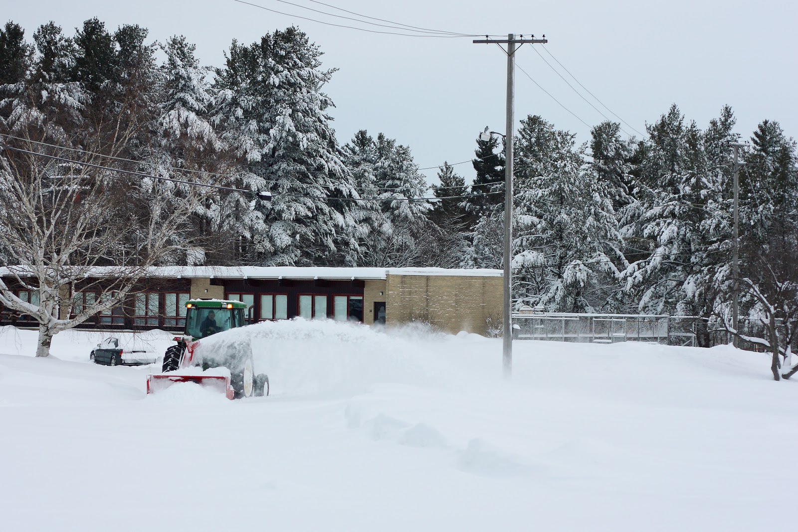 Snow Days / Nelson Notes