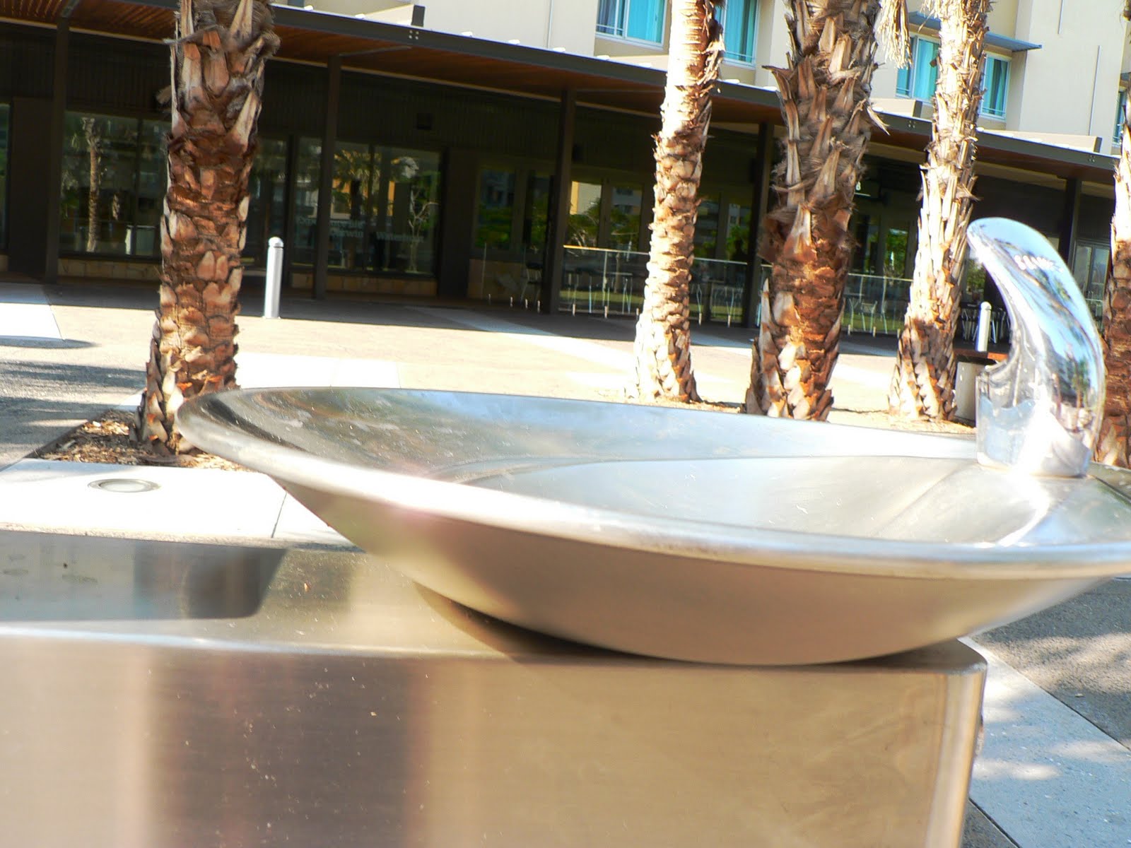 The Bakers of Darwin Ice Cream Treat