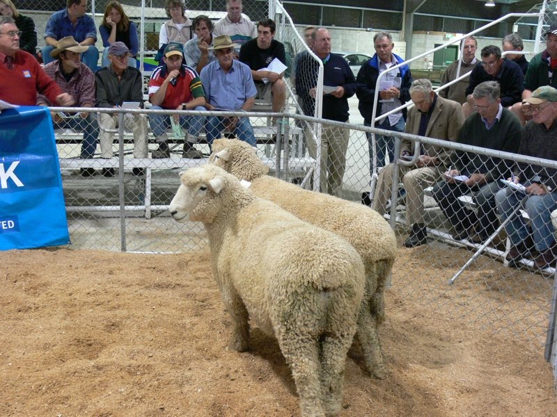 [Ram+sale+SM.jpg]