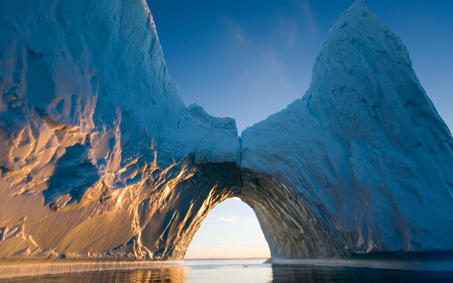 Hd Wallon Arctic Wallpaper Hd Images, Photos, Reviews