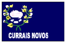 BANDEIRA DE CURRAIS NOVOS