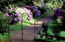 Lanhydrock front Gate