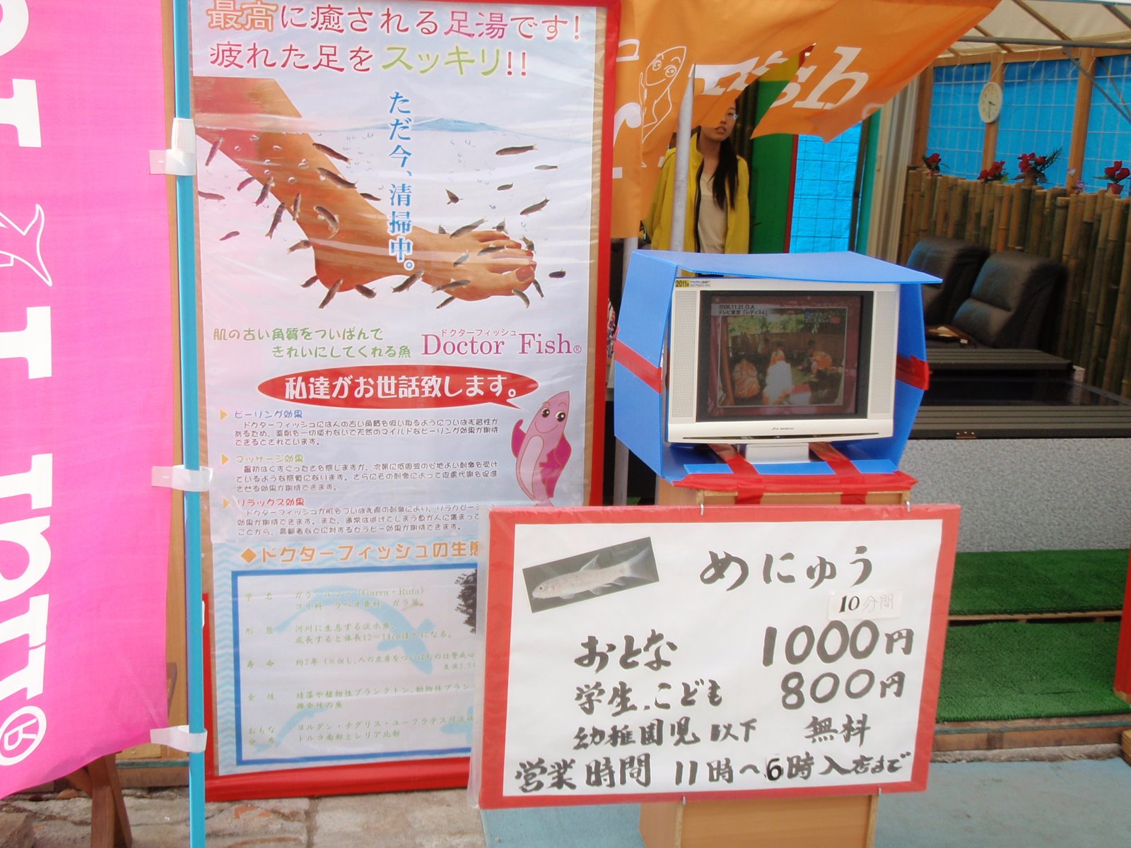 [P5060387+copia.JPG]