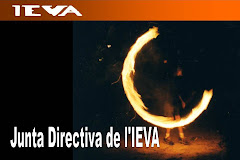 Junta directiva