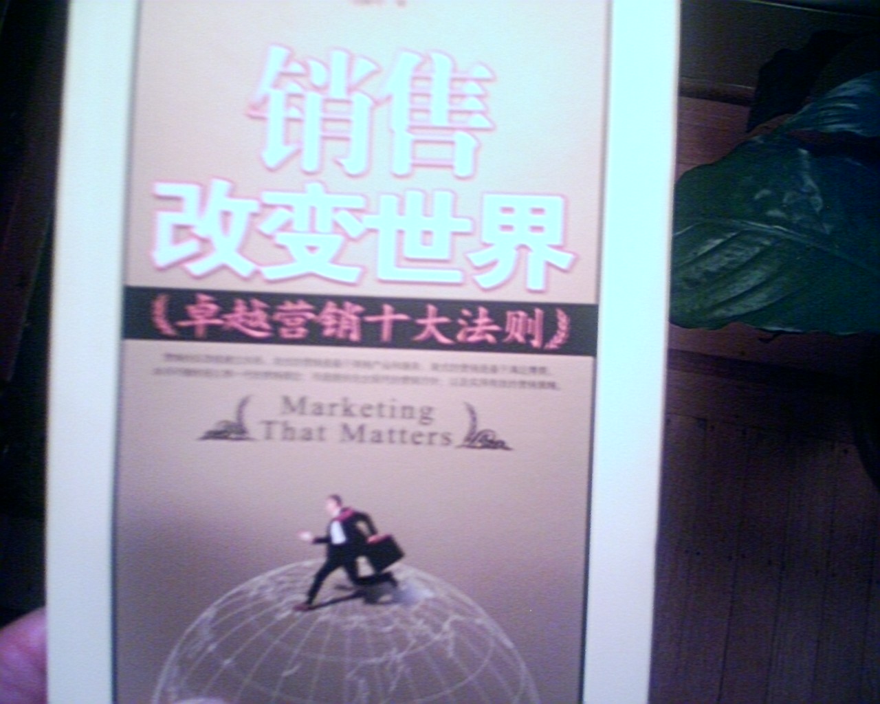 [marketing+that+matters+chinese-740994.jpg]