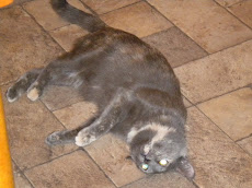 Beautiful Trudy