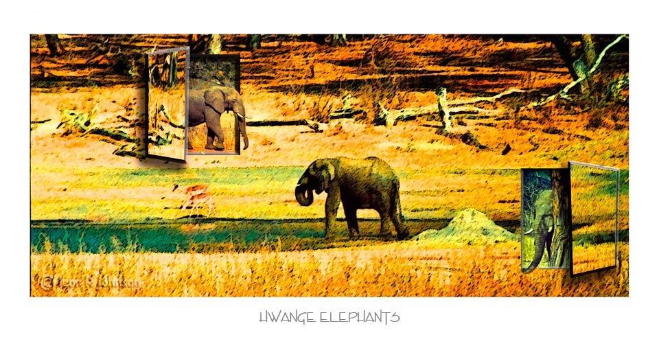 [Hwange-Elephants.jpg]