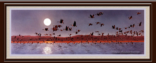 A Thousand Birds