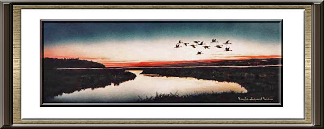Alberta Lake