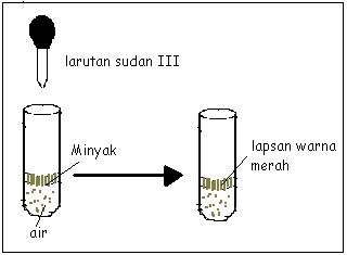 [uji+lemak+2.bmp]