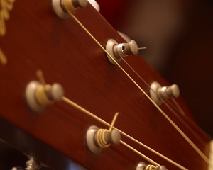 Skilled Musician