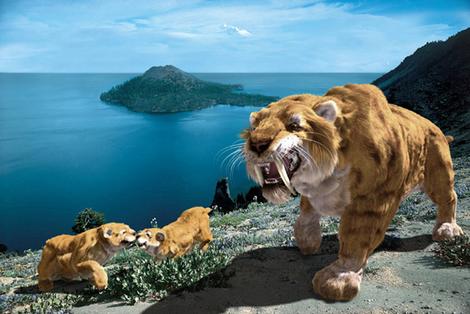 sabre_tooth_wideweb__470x314,2.jpgl