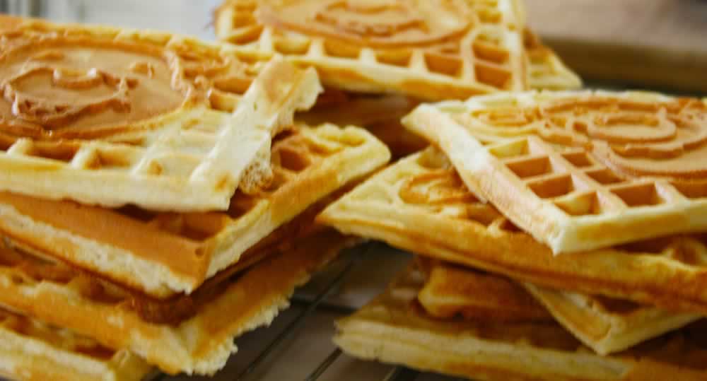 Small Things The Eggo Homemade Toaster Waffles
