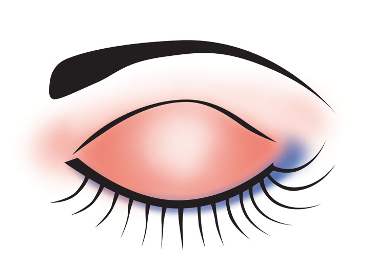 free clip art eyeshadow - photo #3