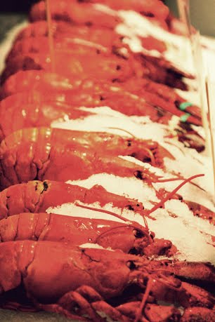 [IMG_0490_1.JPG]