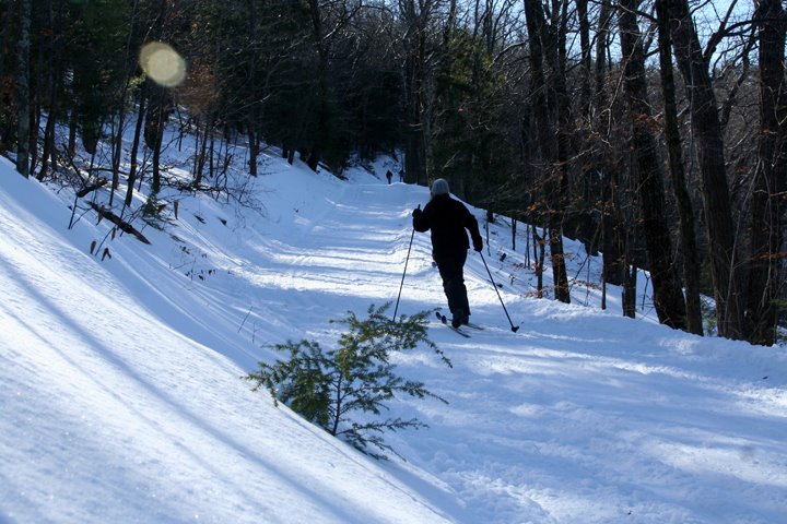 [IMG_7518.JPG]