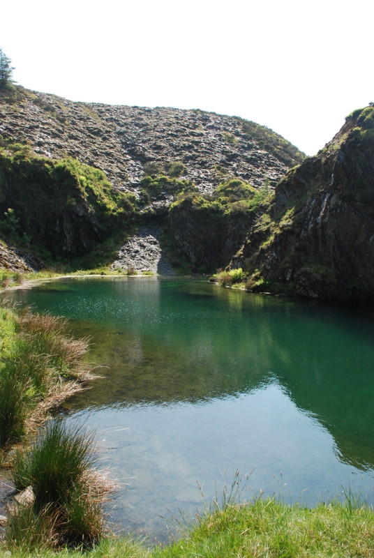 Henrietta Hobby in Europe Friday 4th June 2010 Rosebush
