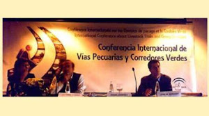 VP - conferencia internacional