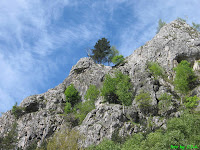 Cheile Galbenului - Galben Gorges