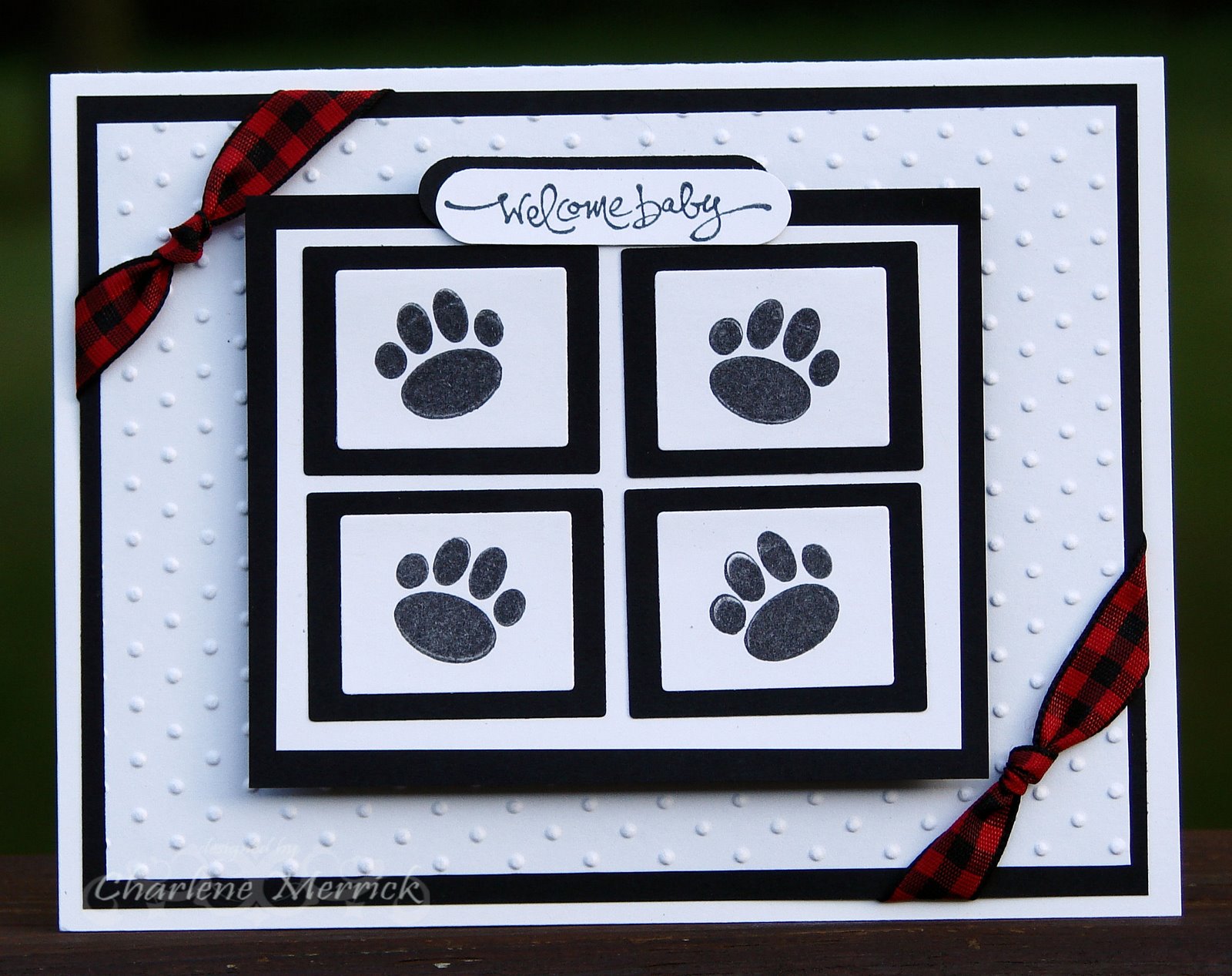 [Footprints27+CKM.JPG]