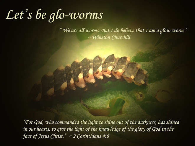 Let's be glo-worms.