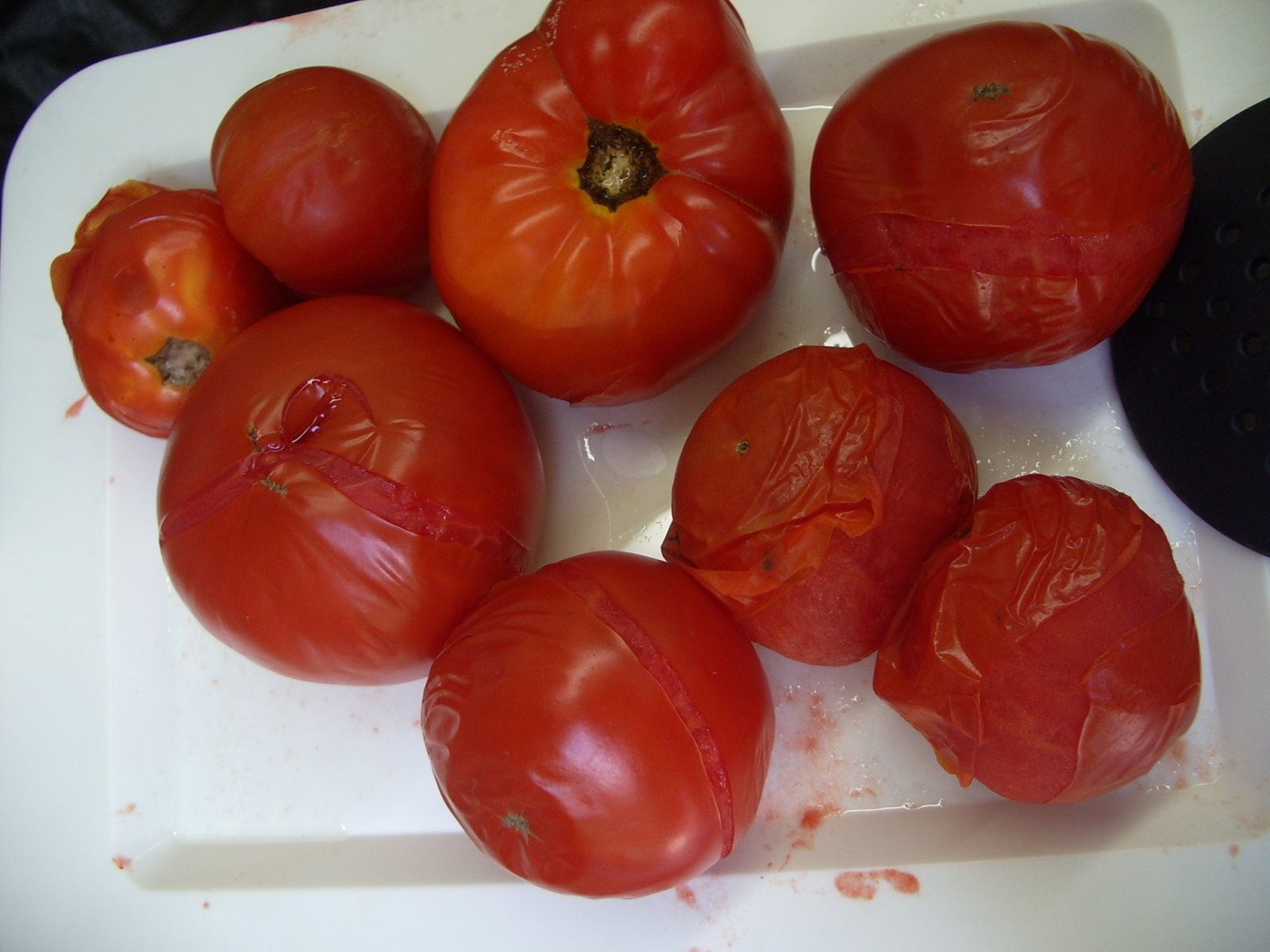 [Turkeys-tomatoes-salsa+104.JPG]