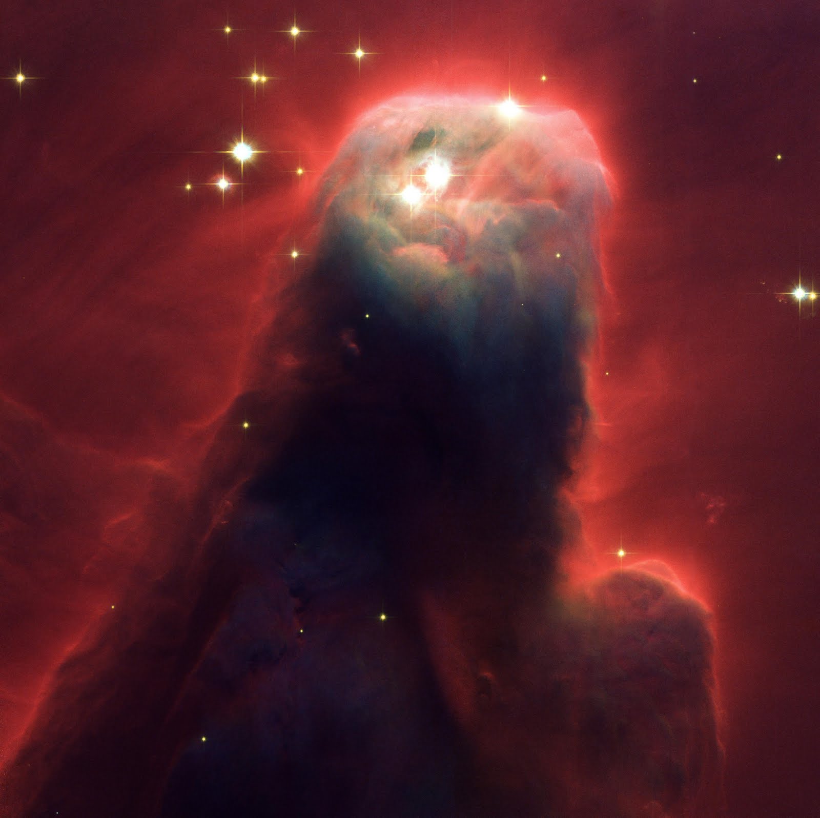 [Cone+Nebula+(NGC+2264)+Star-Forming+Pillar+of+Gas+and+Dust.jpg]