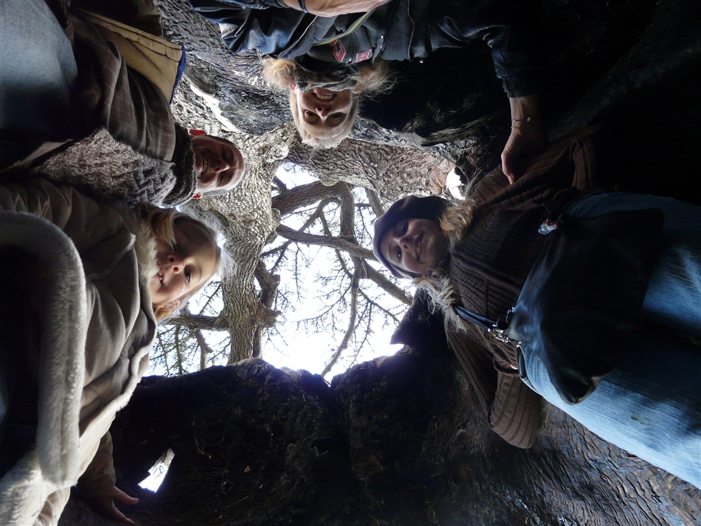Snape Tree Scene Thompsons Cross The Pond: In search of the Harry Potter Tree at ...