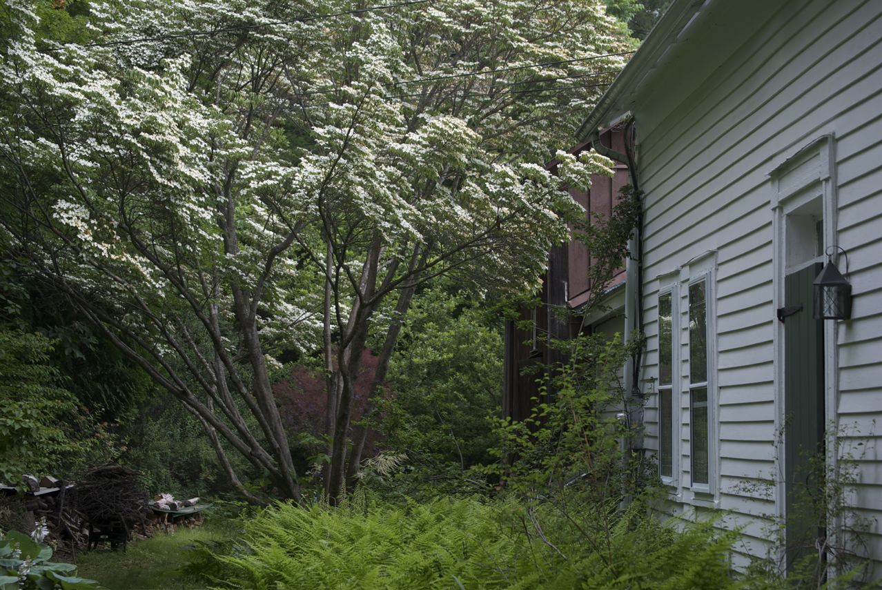 Flower Hill Farm Seasonal Musings Part Seven Farmhouse Front Garden West