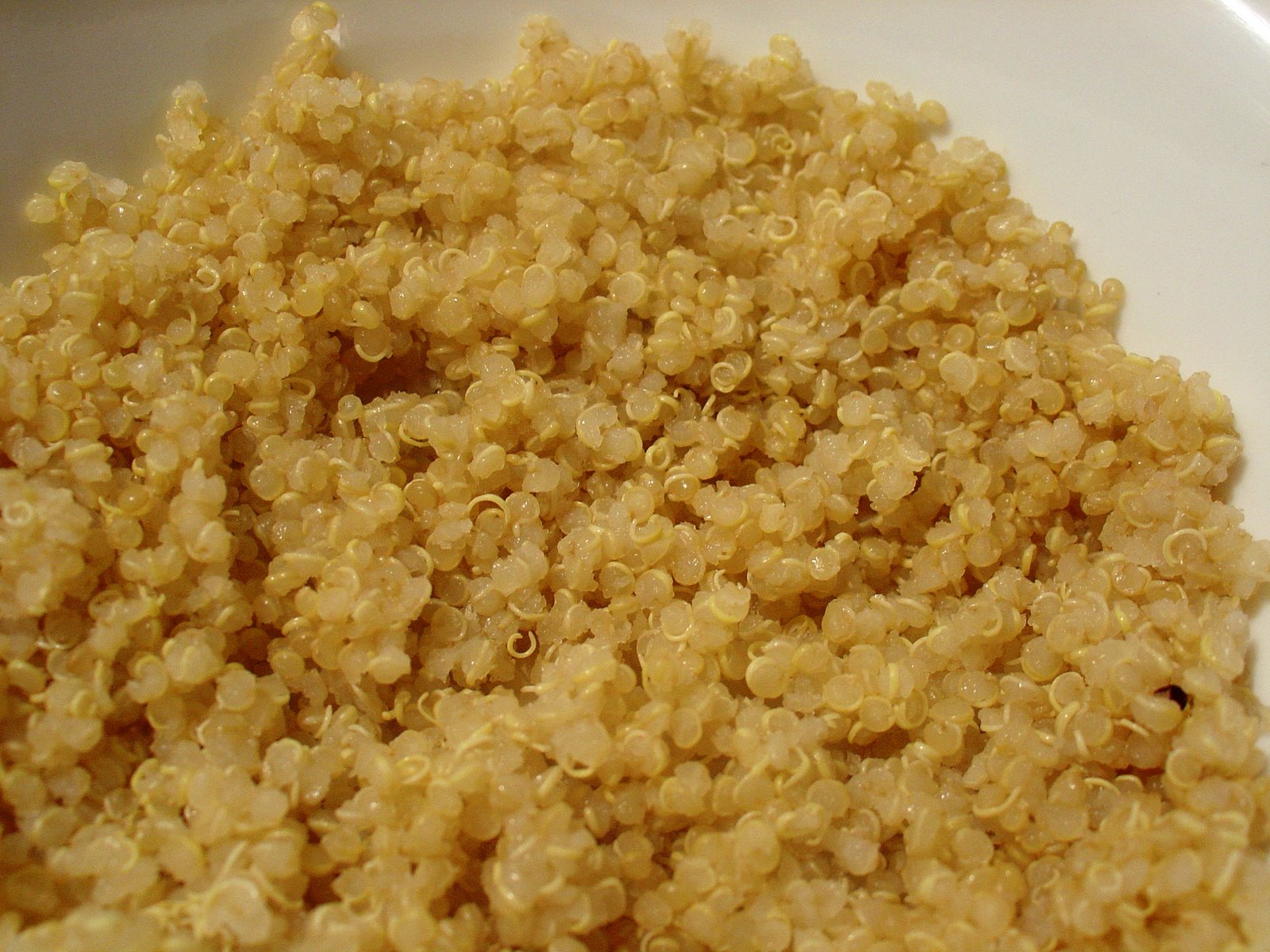 Quinoa — Rezepte Suchen