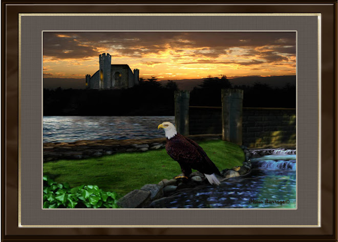 Imagin Castle
