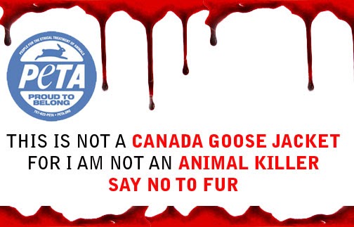 canada goose jacket fur controversy canada goose jacket fur controversy