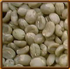 Grano de café - pergamino seco