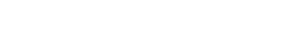 BASS - TÉCNICAS