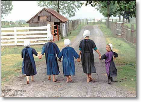 [Amish.jpg]