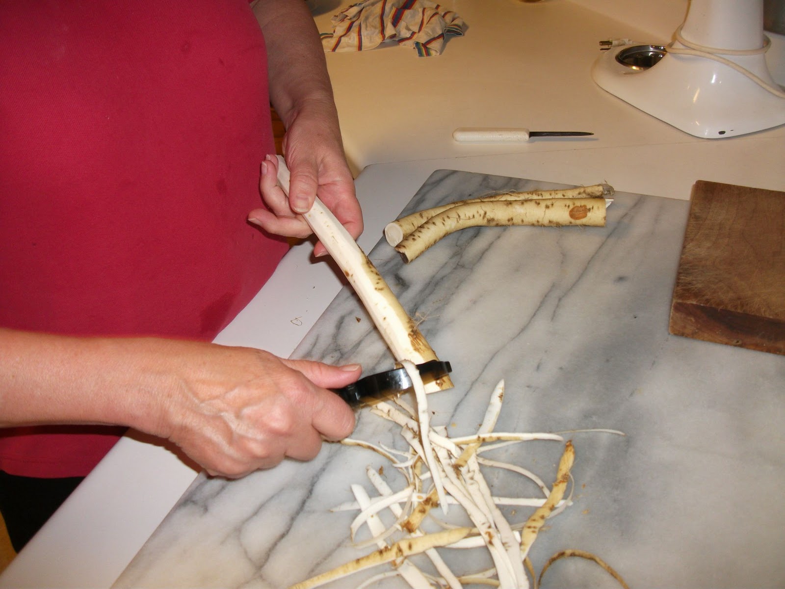 cook out of the box Dig In Horseradish (an estimable condiment)