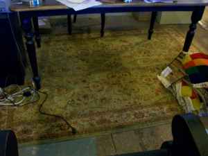 [area+rug.jpg]